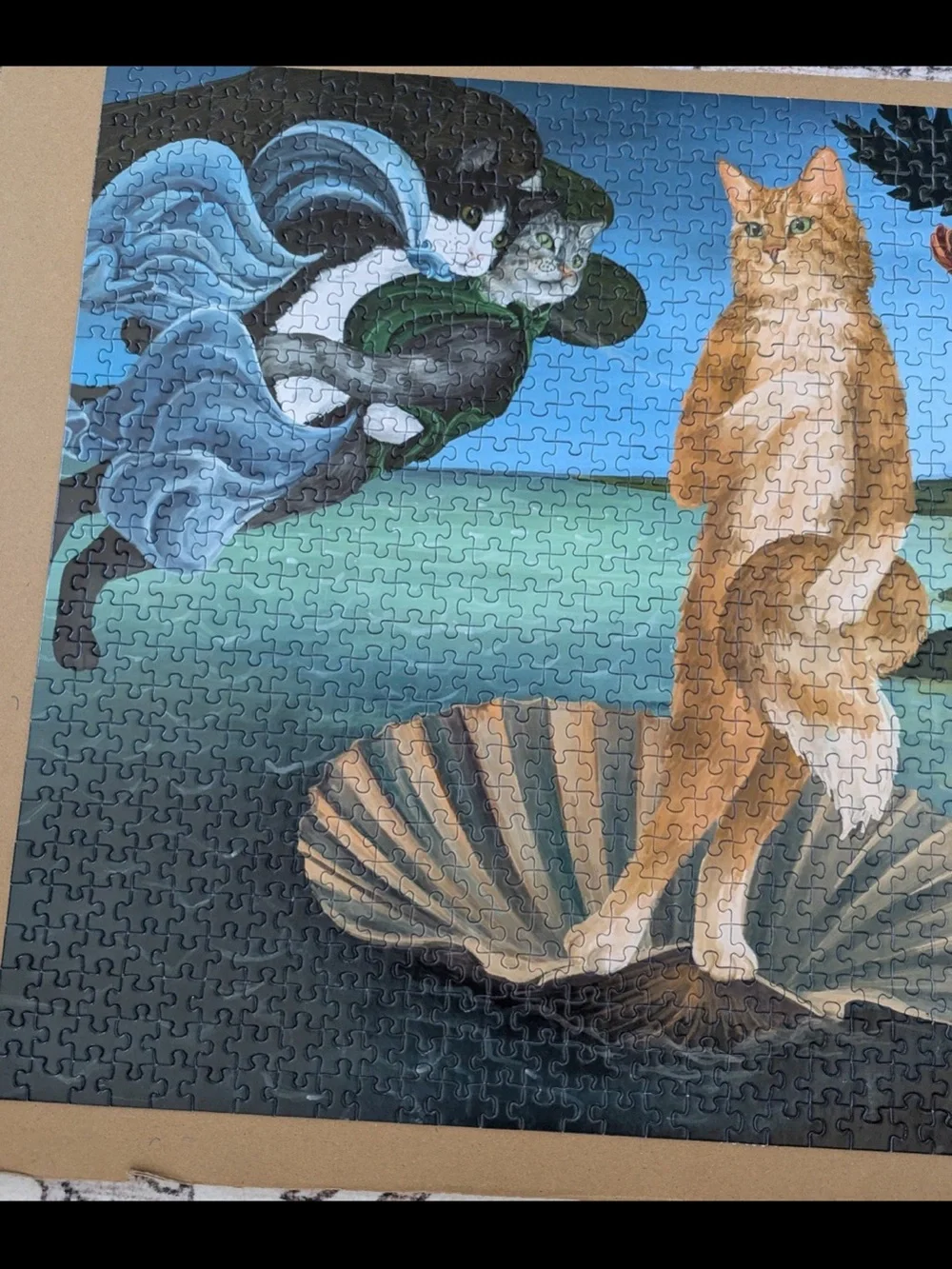 Paper Source 1000 pc